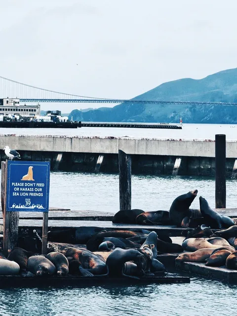 Two Iconic Spots in One Day: San Francisco’s Must-Do Highlights