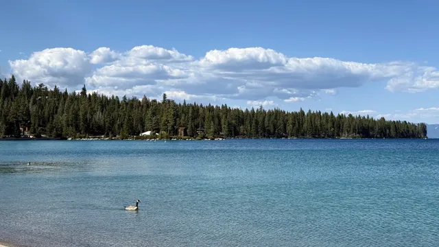 ✨Lake Tahoe Camping + Paddleboarding + Swimming + Teppanyaki 