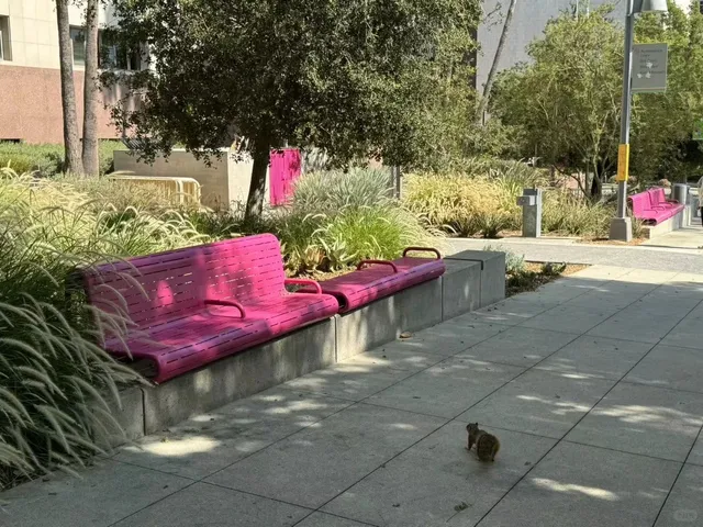 🌳 Journey Notes: Los Angeles Grand Park 🌳