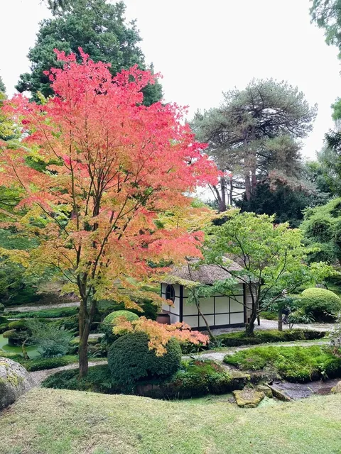 🇬🇧 Hidden Gem Near Manchester & Liverpool: Tatton Park Day Trip 🌳🦌