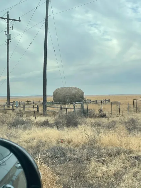 Idaho's Famous Giant Potato 🥔✨