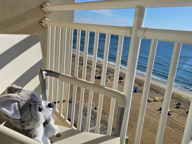 🌟 The Staff Were Absolutely Amazing! 🎉