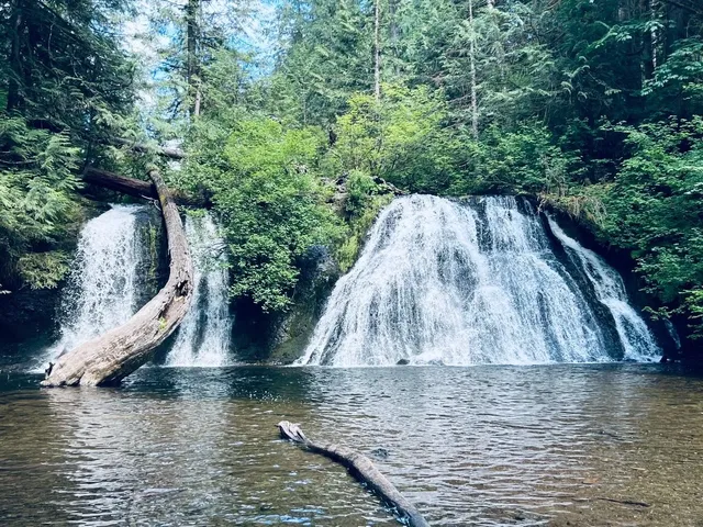 Seattle's Hidden Gem for Family Adventures 🌳💦​​