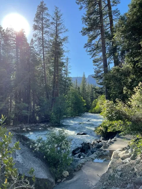 🌲 Yosemite + Fresno 4-Day Escape: Hiking, Safari & Stargazing!