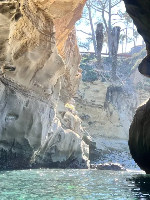 🌊 A Beautiful Day in La Jolla! 🌞