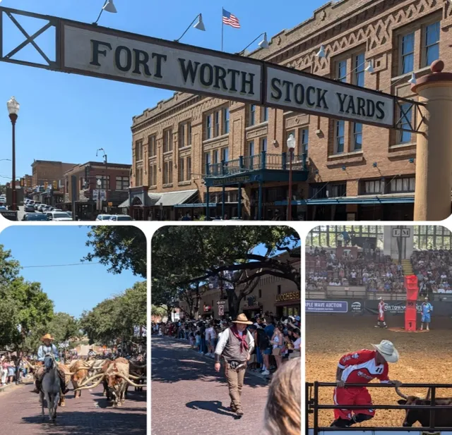 What to Do Alone in Dallas