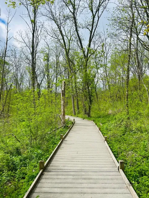 🌿 Wehr Nature Center Adventure in Milwaukee，Wisconsin 🌳🐿️