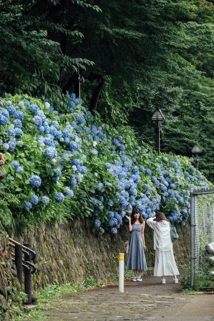 Tokyo's Endless Summer | The Perfect Hydrangea Spot for Portraits (1)