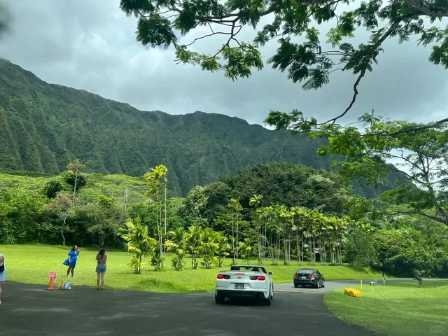 Honolulu 🇺🇸 | A Secret Botanical Garden Nestled Beneath Volcanoes
