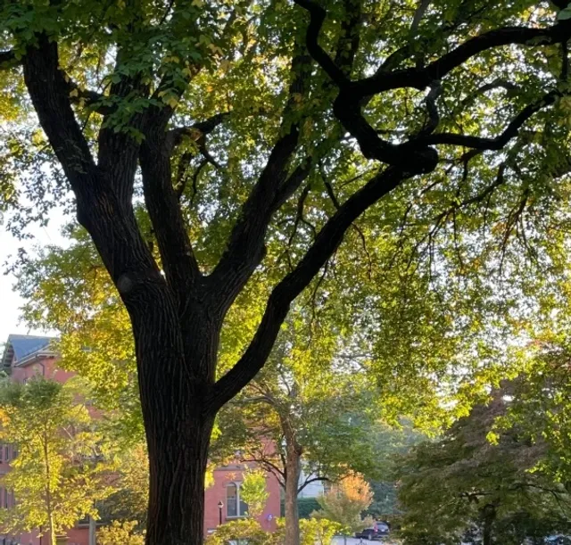 Things I Love Doing in Rhode Island