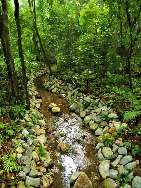  🌳 Thomson Nature Park: A Hidden Gem with Stunning Scenery and Wildli