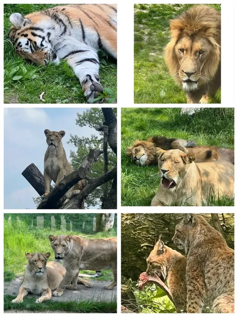 🇩🇪 Duisburg Zoo: A Wild Adventure in the Heart of the Ruhr Valley😎