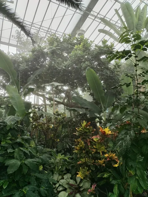 🇩🇪 A Perfect Day in Mannheim🌆✨