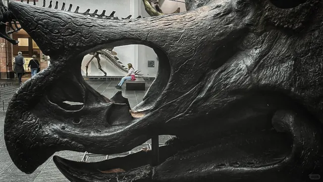 Not for the Faint-Hearted! 😱