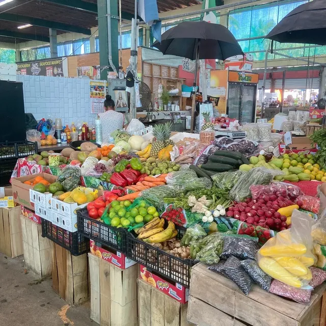 Miami's #1 Farmer's Market 🌴🥦🌽🍆🥒🍅
