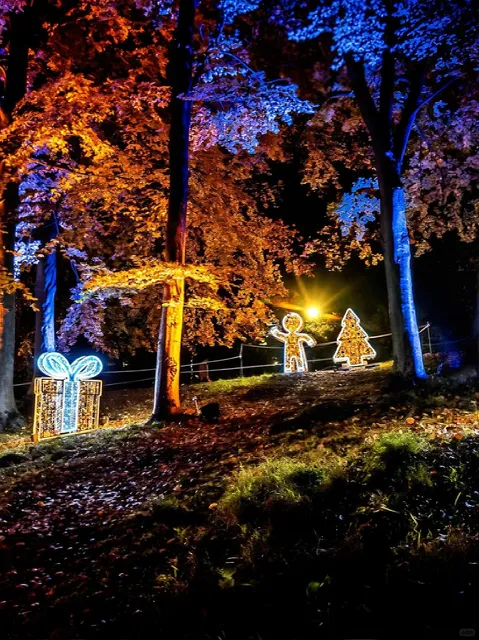 ✨ Paris Winter Romance Must-Visit | Lumières en Seine ✨