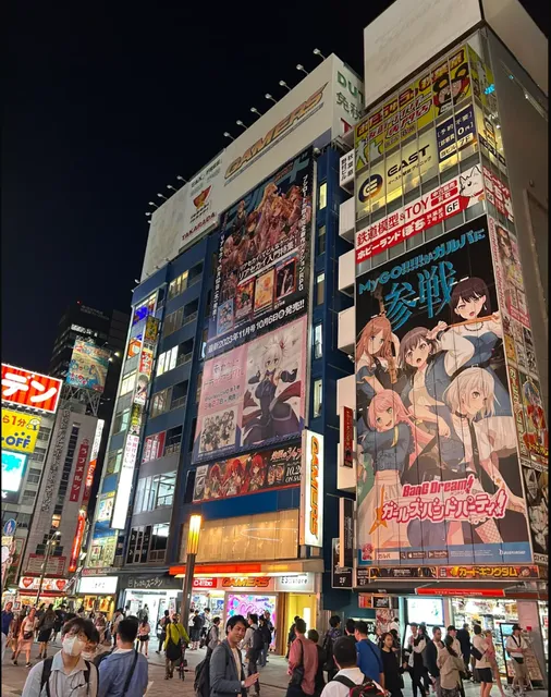 Two-Dimensional's Heaven ：Akihabara