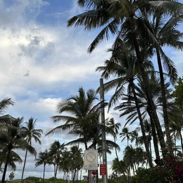 A Typical Sunday Afternoon in Miami