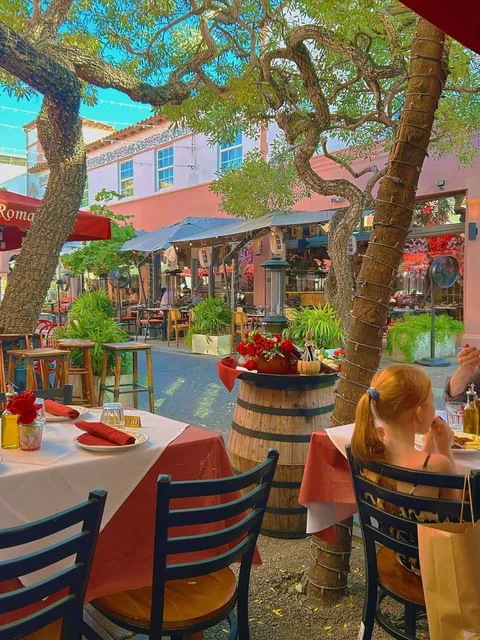 🌞 I Feel Like I Time-Traveled to a Southern French Afternoon 💐  