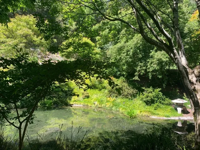 Weekend Plans丨Free Spots for UCB Students 🎓💫