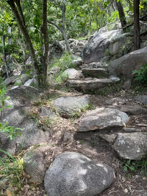 Magnetic Island Day Trip: Koalas, Hikes & Missed Buses! 🐨🚶‍♀️⛴️