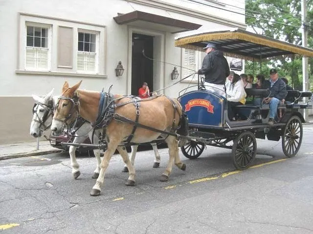 Small Site, Big History! 🏰📚