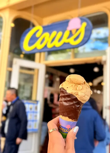 Toronto | Waterfall Town + Jackson's Gold-Leaf Icewine 🥂