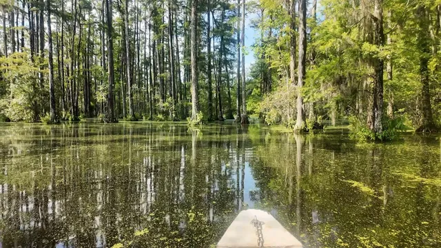 Charleston Solo Trip (3-Day Guide) 🌸📸