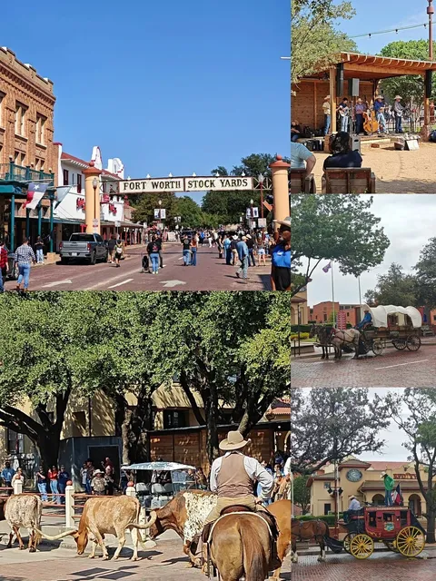 Texas BBQ, I'm here! 🥹 