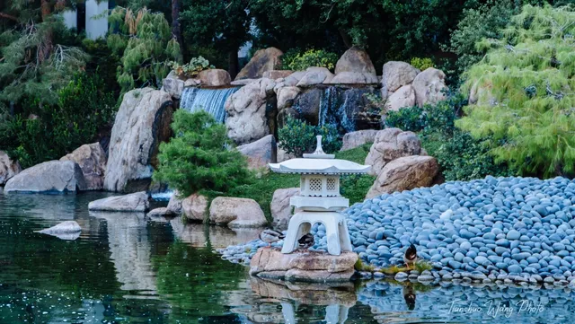 🌺🌴Japanese Friendship Garden: Phoenix’s Surreal Oasis 