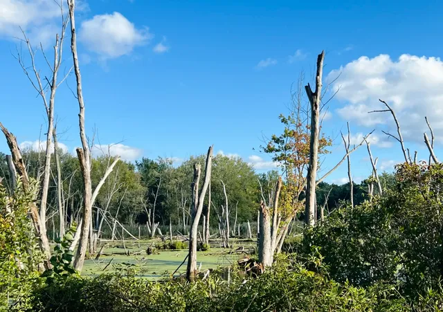  Indiana Dunes National