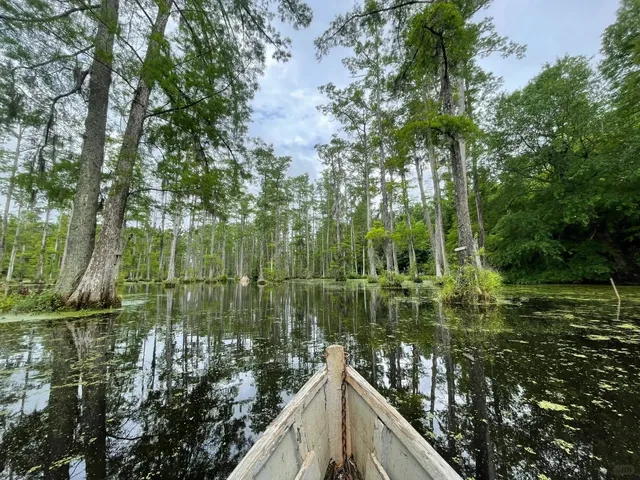 East Coast Getaway - Charleston Healing Guide 💖