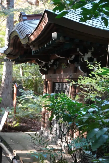 Tokyo |  Koishikawa Korakuen Garden(2)