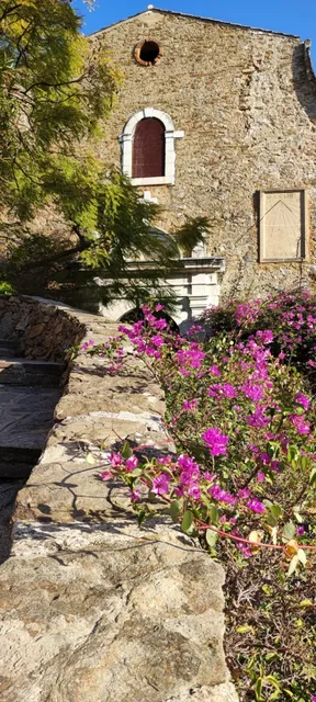 South of France: Bormes-les-Mimosas, the Mimosa Town
