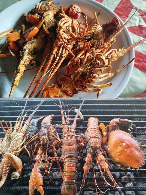 Who Can Resist $1 Lobsters?! 🦞