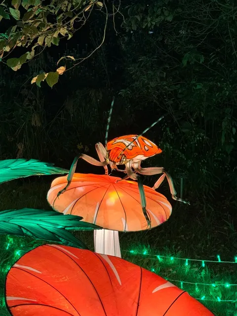 🏮 2024 Milwaukee Lantern Festival | Sept 13 – Oct 27