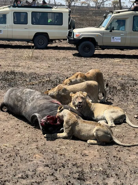 Tanzania 22-Day Adventure for 17,000 RMB (Excl. Int'l Flights)