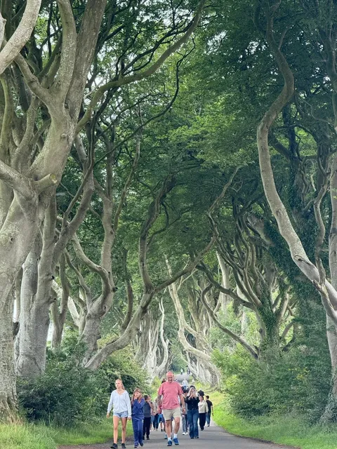 🇮🇪 3-Day Ireland Trip 🇮🇪🌲