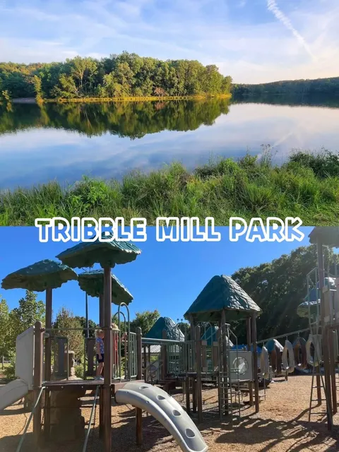 🇺🇸 Will Your Kids Survive the Walk? 😂 | Stunning Lakeside Parks in 