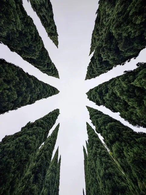 🌴✨Beverly Hills, Los Angeles: Unscathed Amidst the Flames 