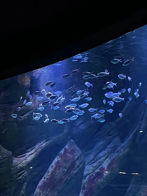 🇫🇷 Study Ablog｜1-Day Escape to La Rochelle (Out of 9-Day Break)