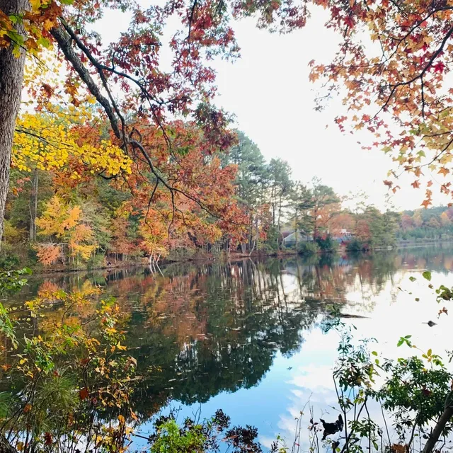🍂 Stone Mountain in Autumn