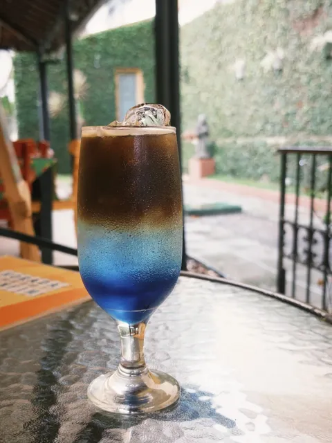 Recife and Surroundings Public Travel Guide