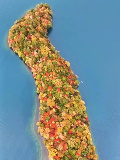 🌟 Nikko City Nature Spots to Visit