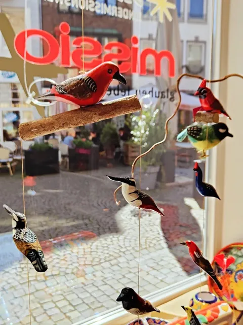 📸 Snapshots of Aachen, Germany 🇩🇪