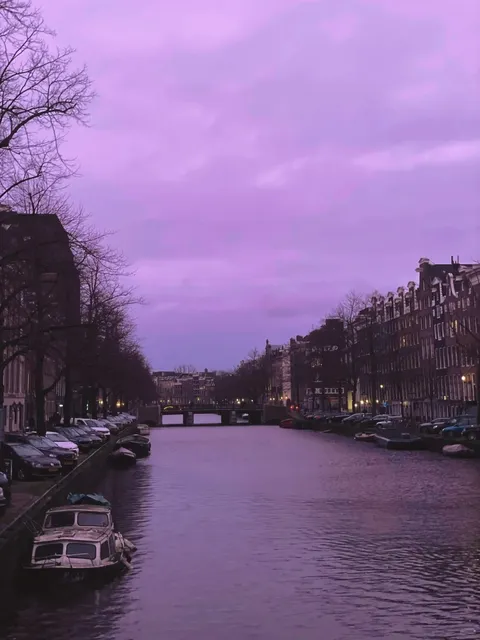 🇳🇱 Dutch City Roast: Brutally Honest Travel Takes