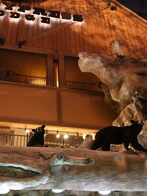 🇺🇸 Travel Journal / Half-Day Solo Trip in Memphis