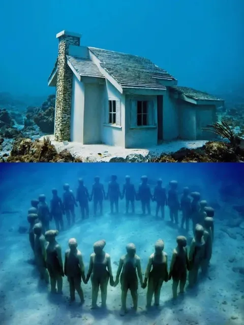 🤿🌊 MUSA Underwater Museum: Dive into Art & Ecology! 🐠🎨