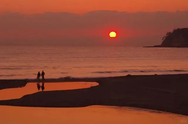 Komachi-dori Shopping Street 🛍️ 🌸🌺🌿🍃