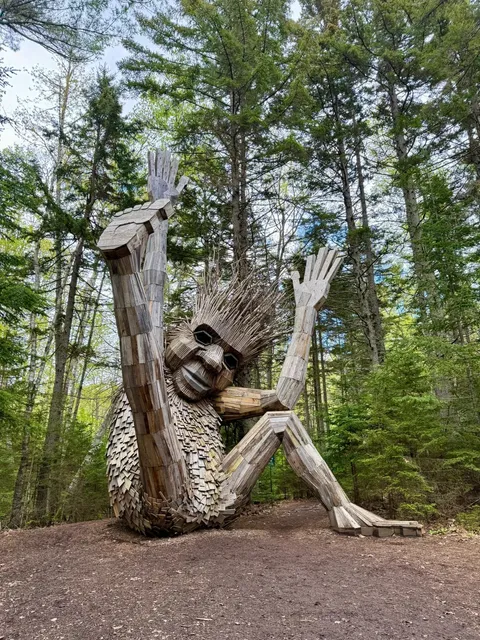 🌿 From Boston & Portland | A Fairy-Tale Forest Oxygen Oasis 